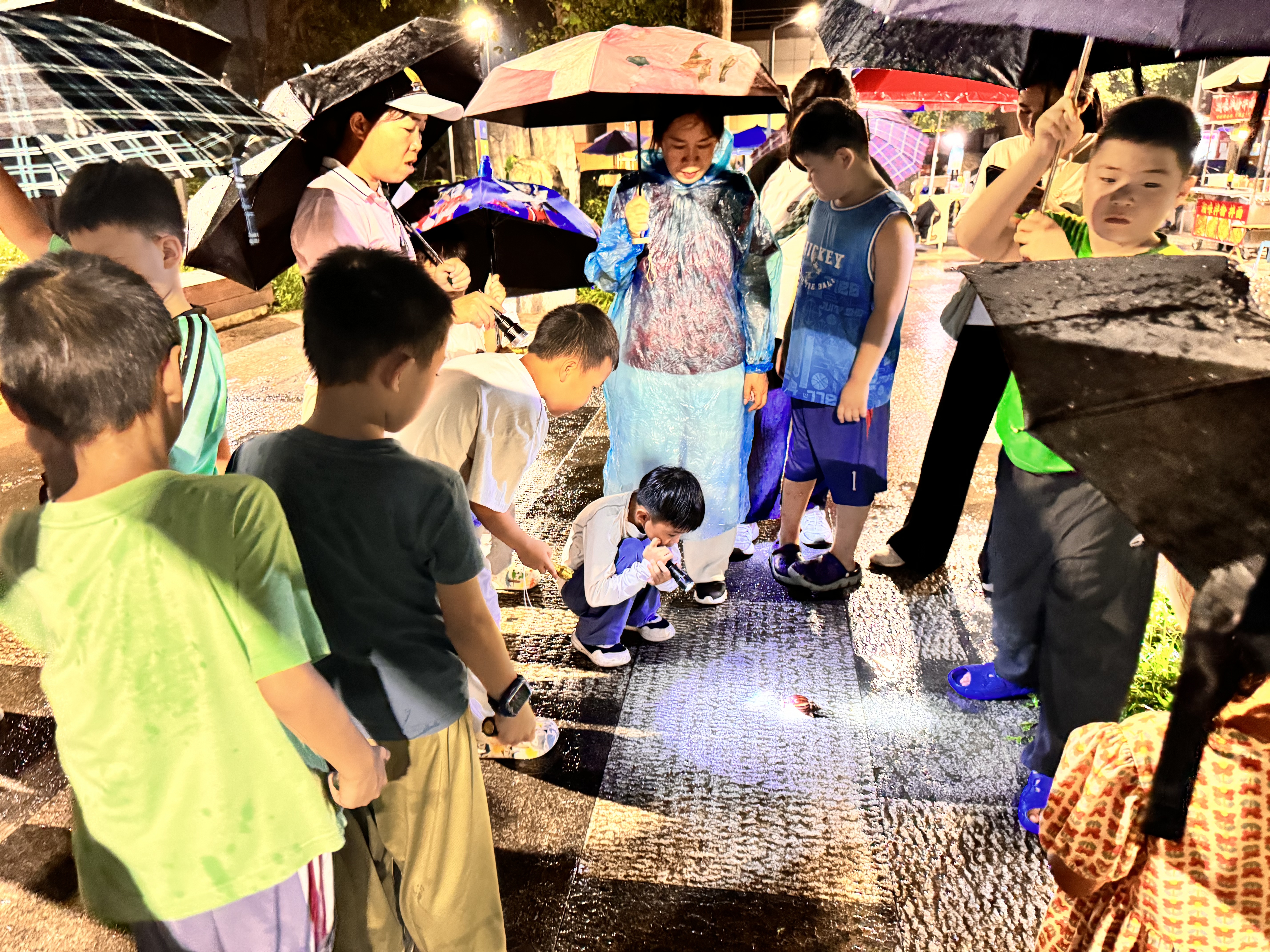 9e97bbb2435749376971534a979259a.jpg 9e97bbb2435749376971534a979259a.jpg