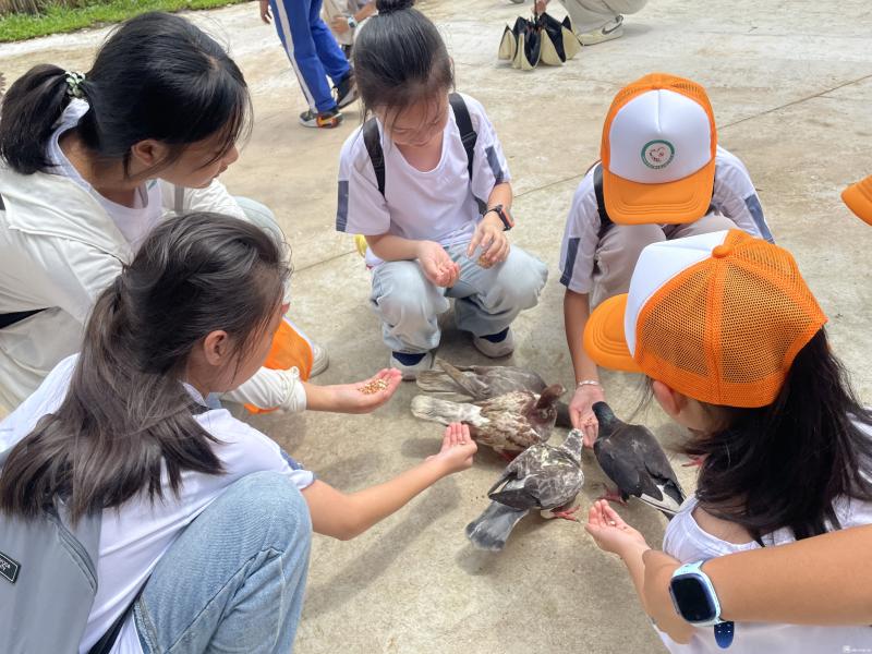 图片19.jpg 图片19.jpg