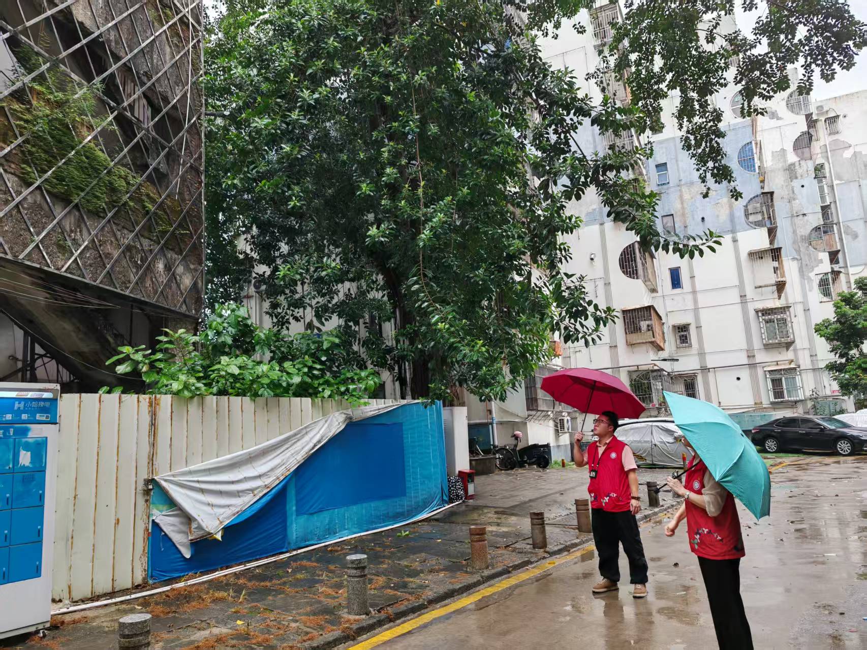 2001c0062dc1549238aeb95f4f19008a.jpg 2001c0062dc1549238aeb95f4f19008a.jpg