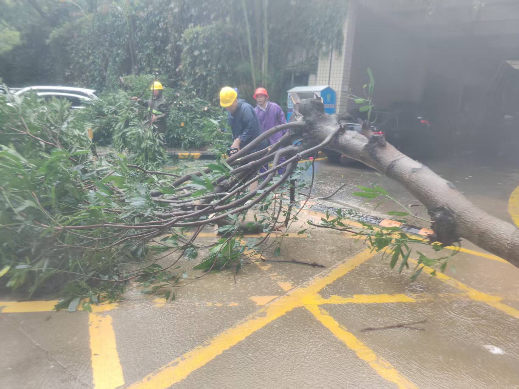 6d9e8fea6a75ef764967e61bccdf121e.jpg 6d9e8fea6a75ef764967e61bccdf121e.jpg