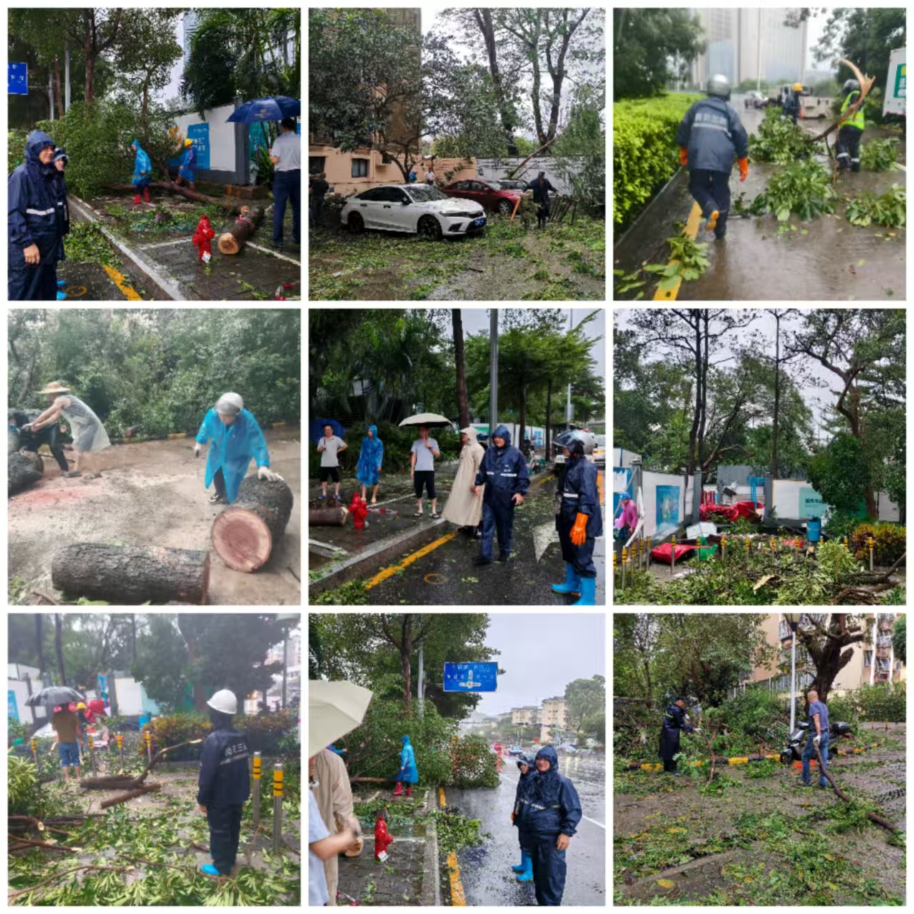 0102316a43480222d87dd86851f4796a.jpg 0102316a43480222d87dd86851f4796a.jpg