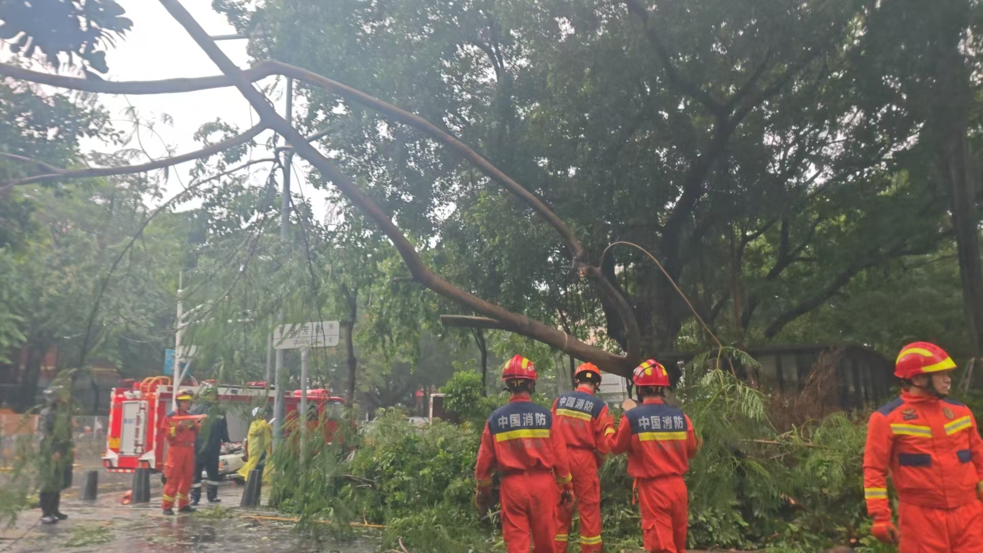 d5f17741b7bf9471cdaa0c768c6f8297.jpg d5f17741b7bf9471cdaa0c768c6f8297.jpg