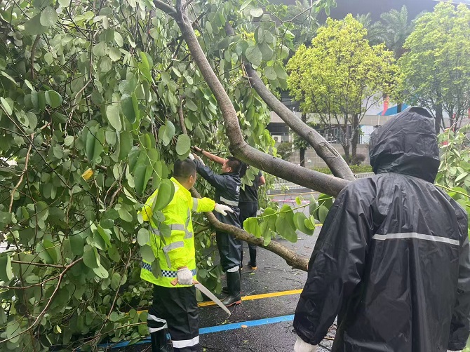 切断树枝行动.jpg 切断树枝行动.jpg