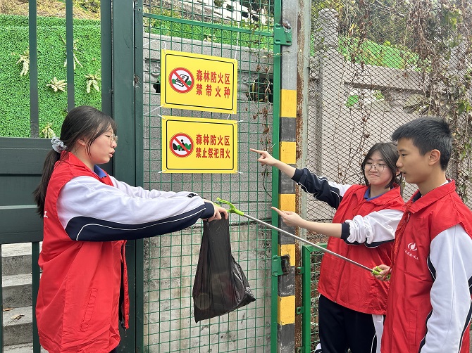 青春护林队.jpg