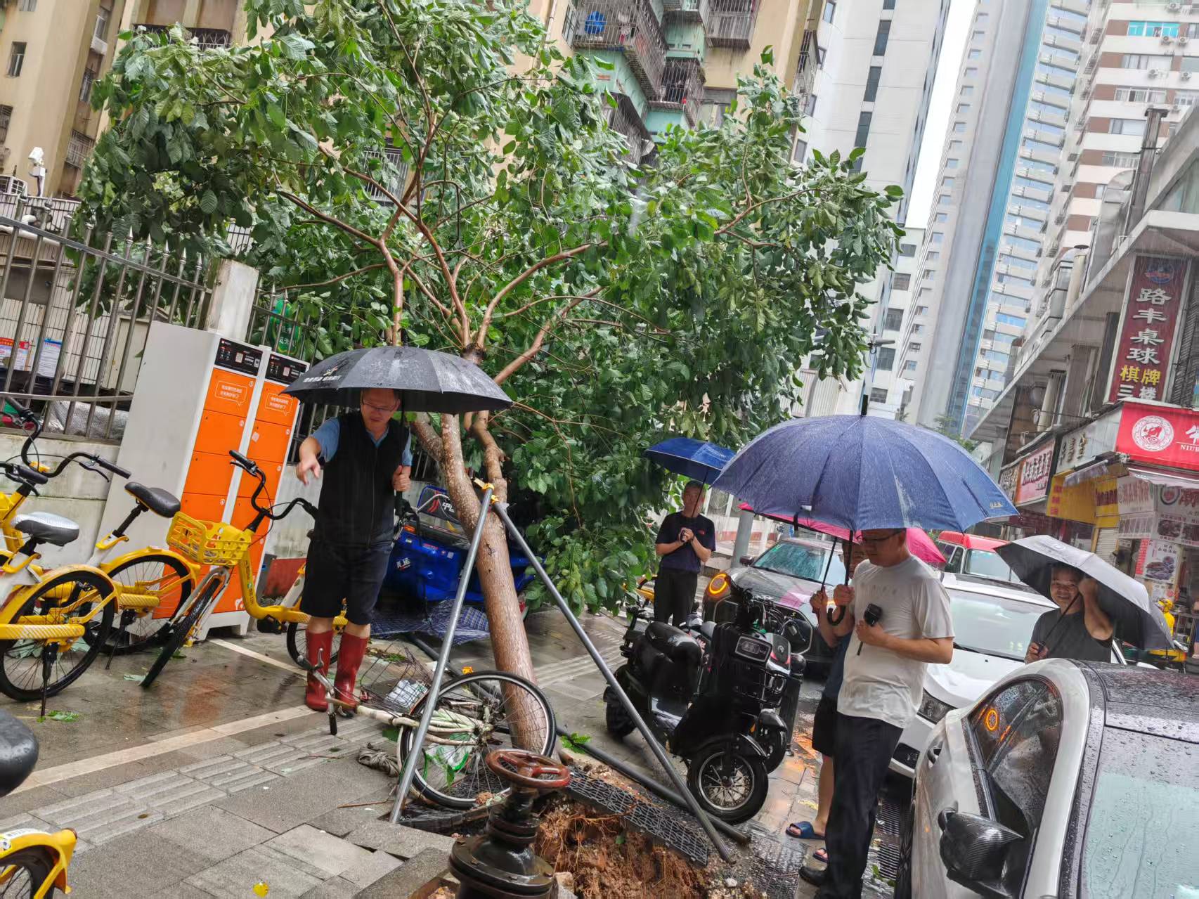 29feefda2b9f4b7c7608ccd30fecd7a.jpg 29feefda2b9f4b7c7608ccd30fecd7a.jpg