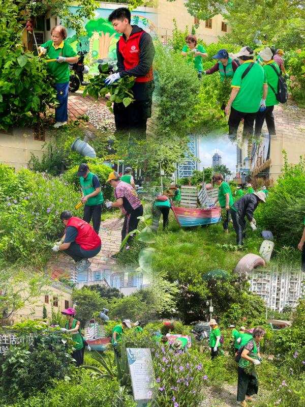 20250811和平社区“银龄携手青春,共筑健康防线”基孔肯雅热防治志愿清洁行动3.jpg 20250811和平社区“银龄携手青春,共筑健康防线”基孔肯雅热防治志愿清洁行动3.jpg