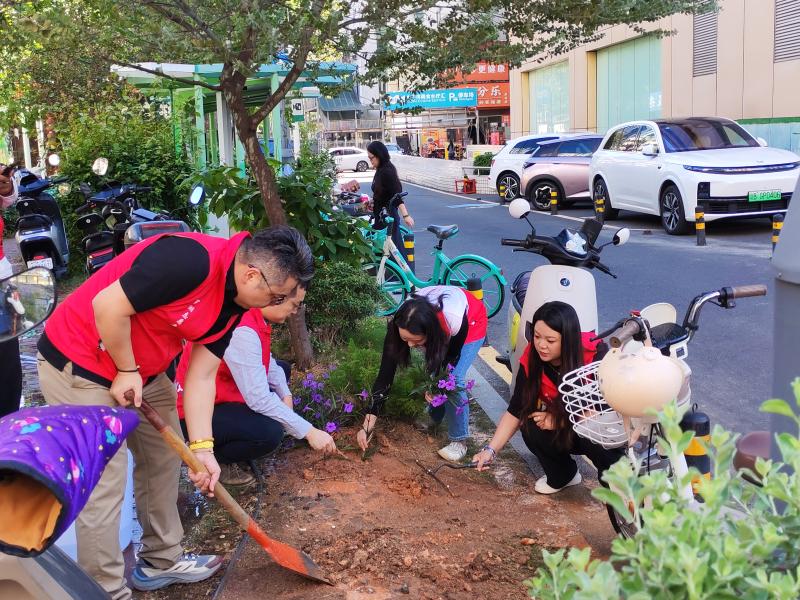 花园绿化.jpg 花园绿化.jpg