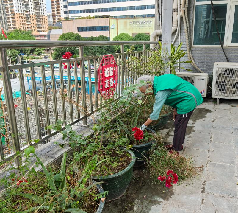 花坛清理 (2).jpg