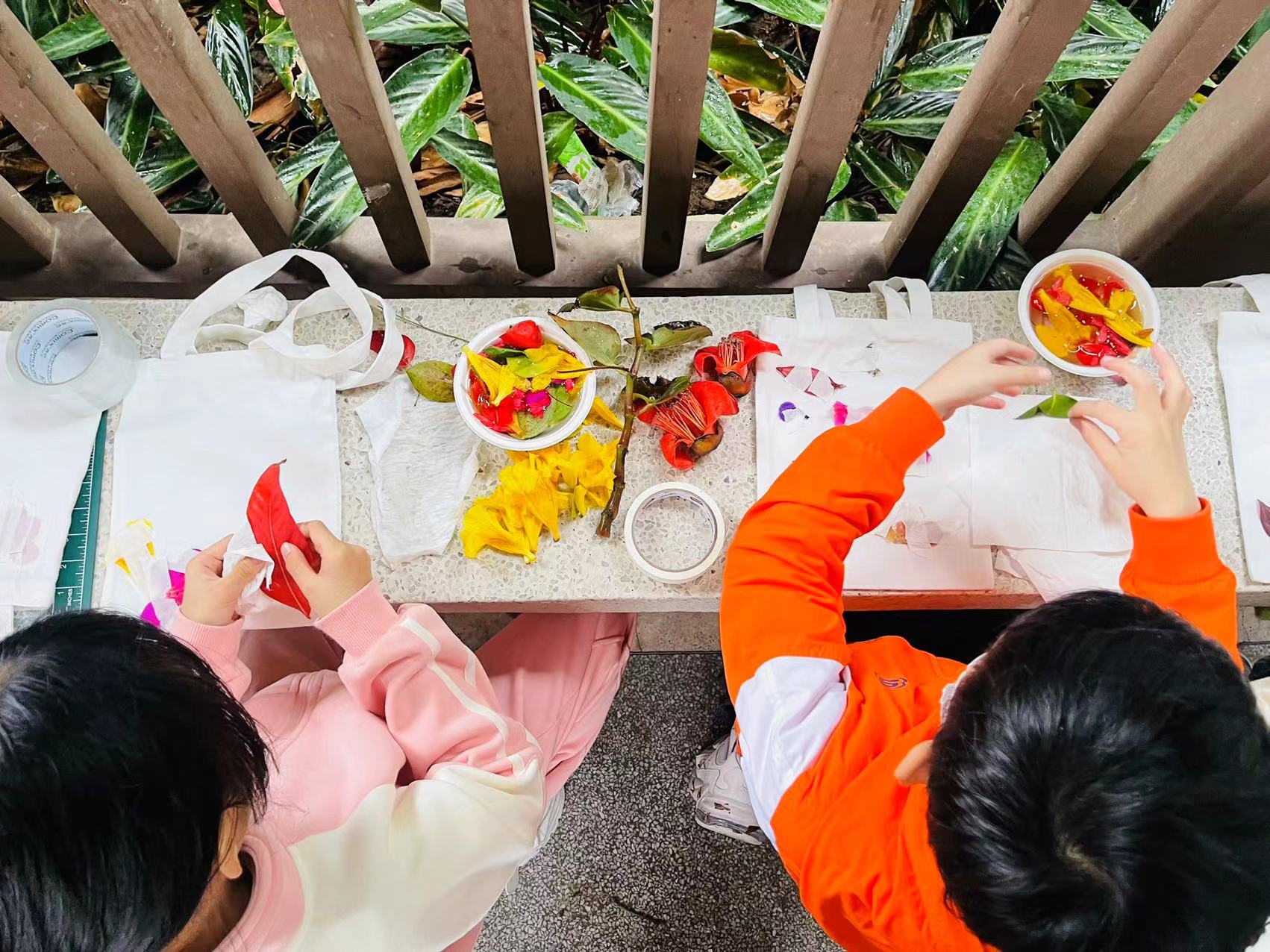 植物拓染.jpg 植物拓染.jpg