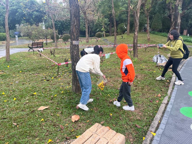 收集植物.jpg 收集植物.jpg