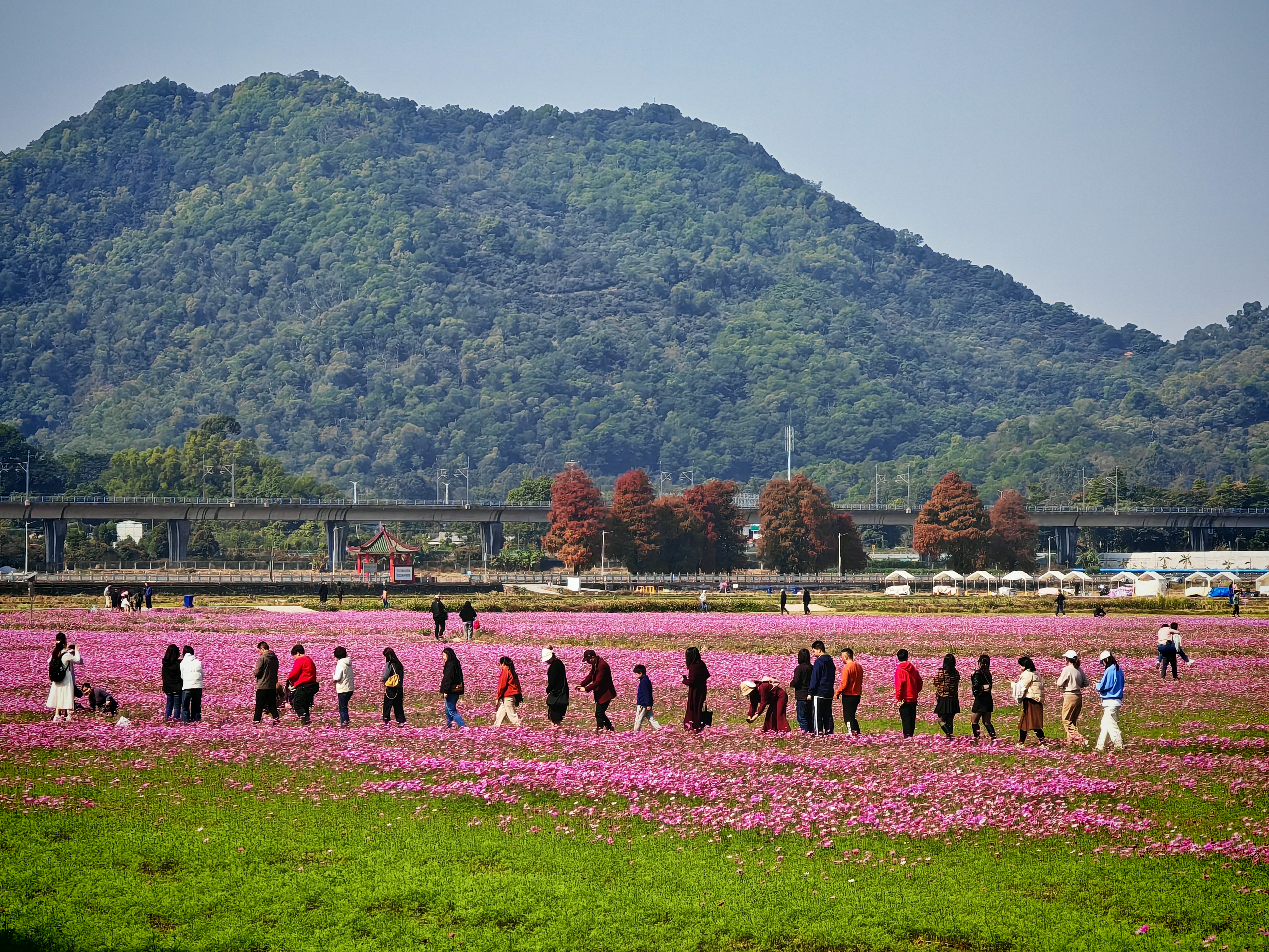20250110中山情怀·职工风采:文锦社区学史活动圆满举行 (3).jpg 20250110中山情怀·职工风采:文锦社区学史活动圆满举行 (3).jpg